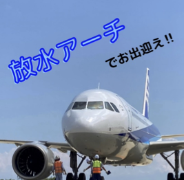 ボーイング787-8型機