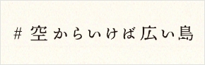 空から行けば広い島