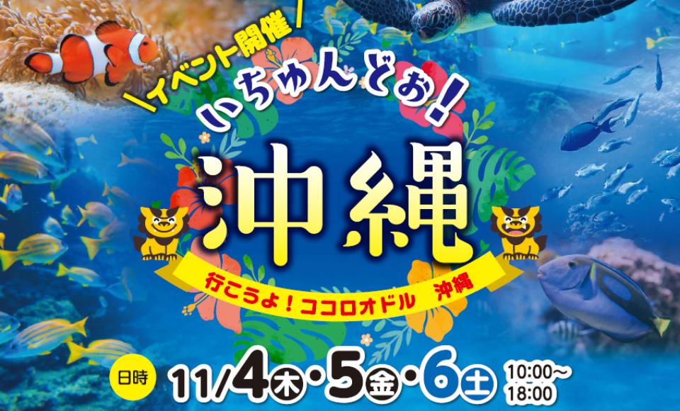 いちゅんどぉ!沖縄 ~行こうよ!ココロオドル 沖縄~