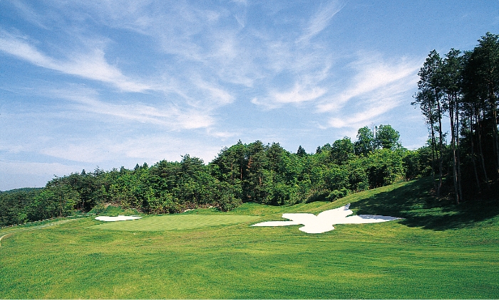 Forest Hills Golf & Resort