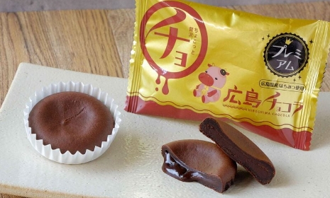 広島プレミアムチョコラ 8個入