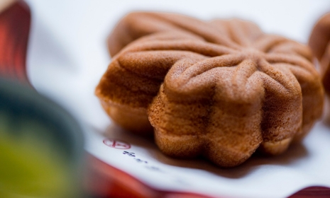 Momiji-Manju Cakes, Strained Bean Paste