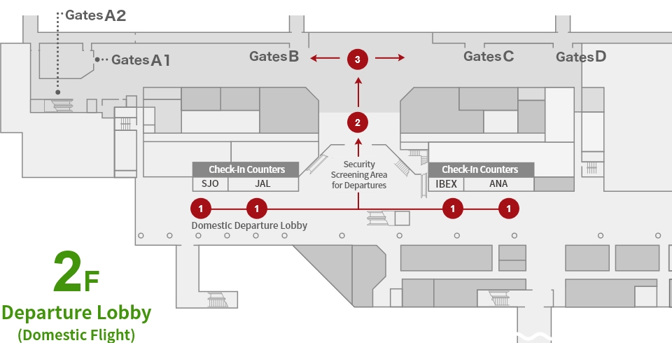 Flow for Departures (Domestic Flights)