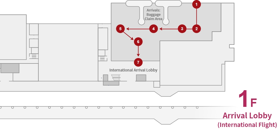 Flow for Arrivals (International Flights)