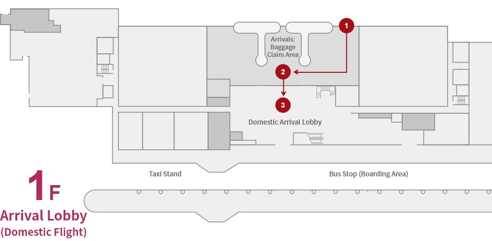 Flow for Arrivals (Domestic Flights)