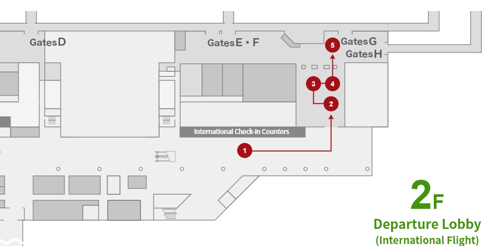 Flow for Departures (International Flights)